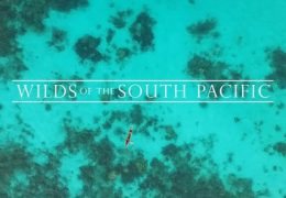 Take An Ambient Journey Through the South Pacific