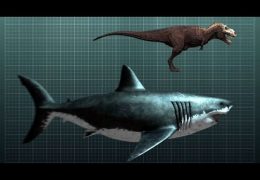 The Tyrannosaurus Rex of Sharks