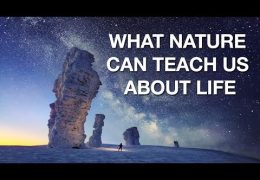 Why We’re Inspired By Nature!