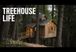 Treehouse Dreams