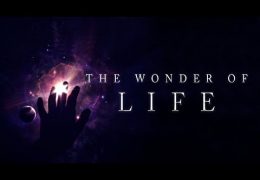 The Wonder of Life