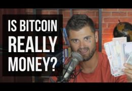 Bitcoin as “Money”