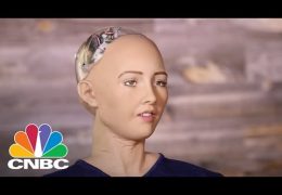 Humanlike Robot Wants To Destroy Humans – Huh?